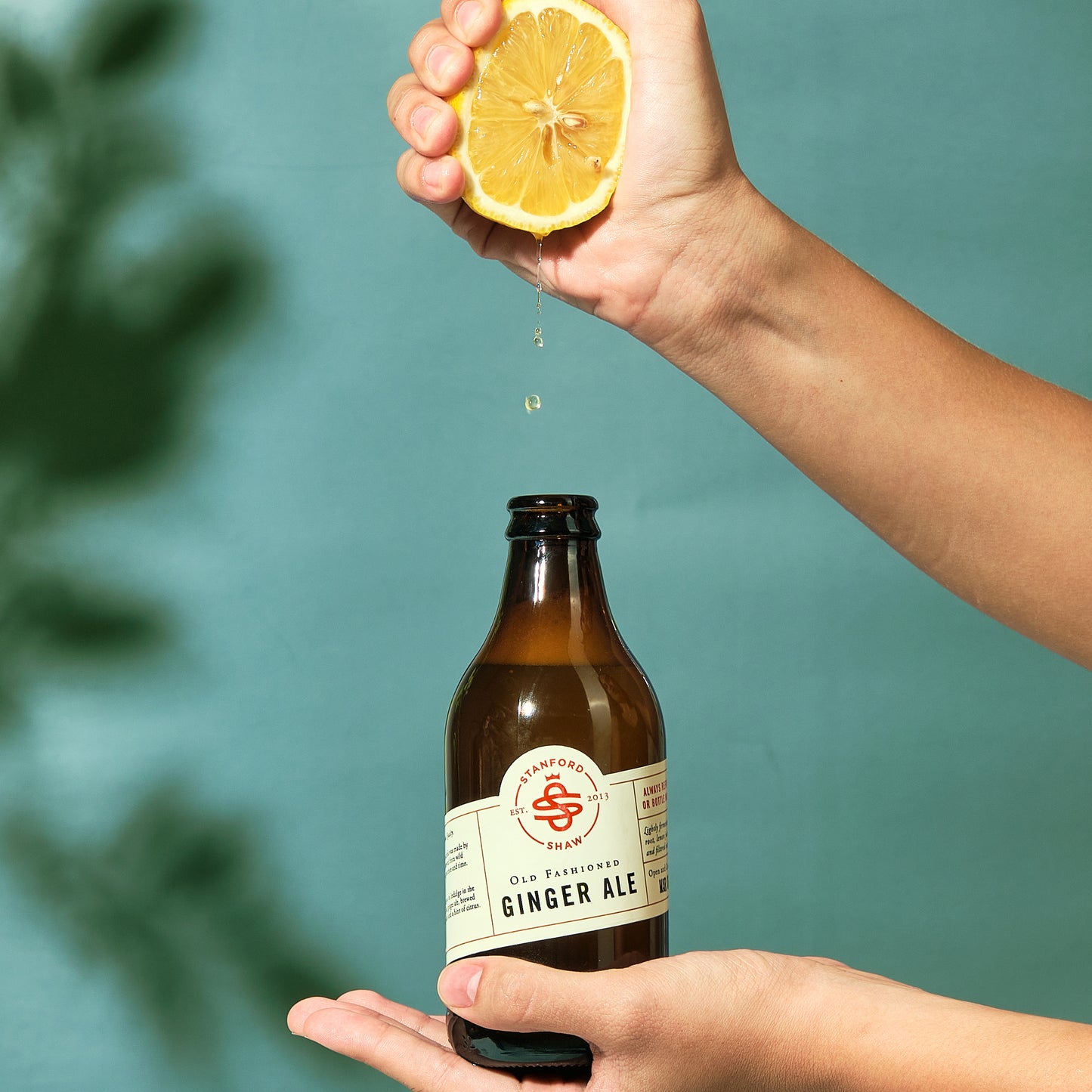 Ginger Ale (290 ml)
