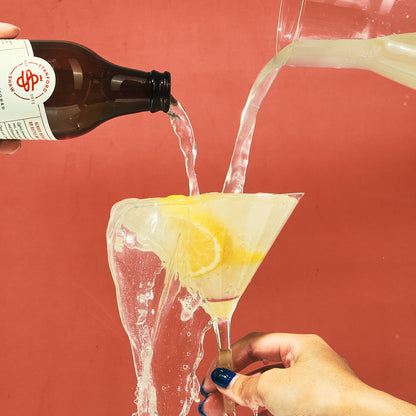 Double Bottle Gift Bag of Ginger Ale (2 x 290ml Single Serve)