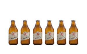 Fresh Ginger Ale (290 ml)